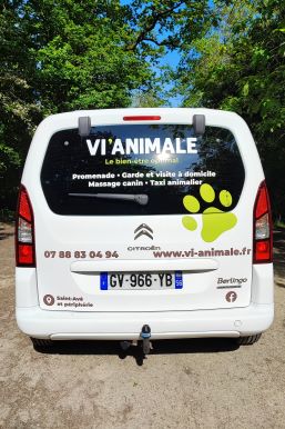 Image Taxi/Transport